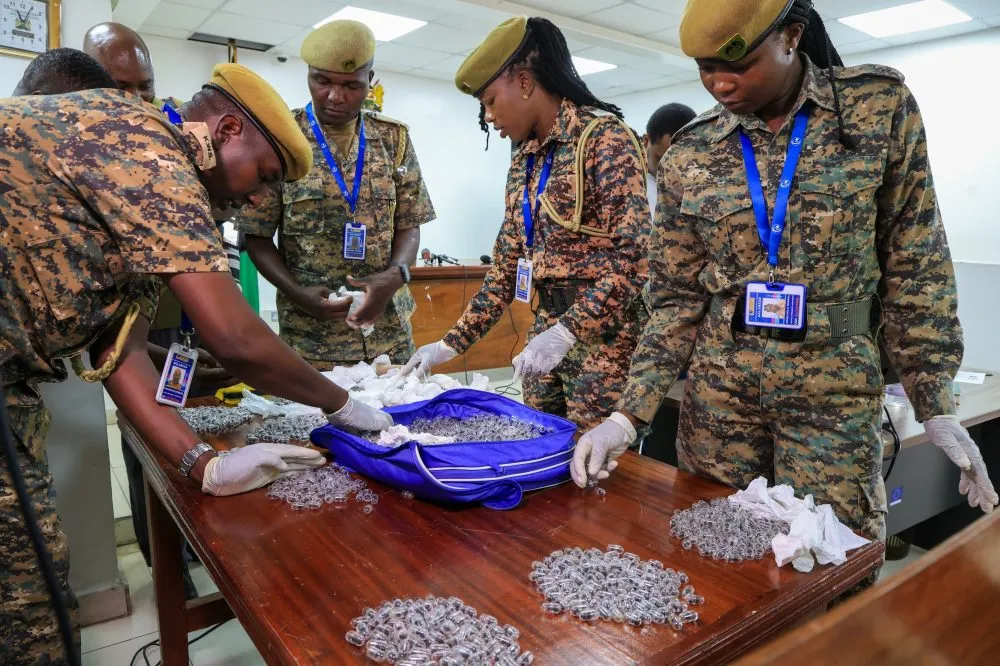 ant smuggling kenya