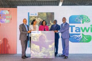 Britam