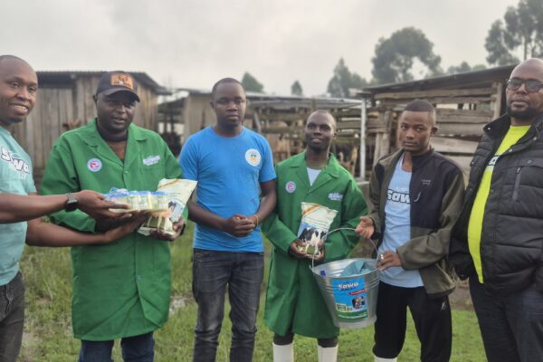 Sawa